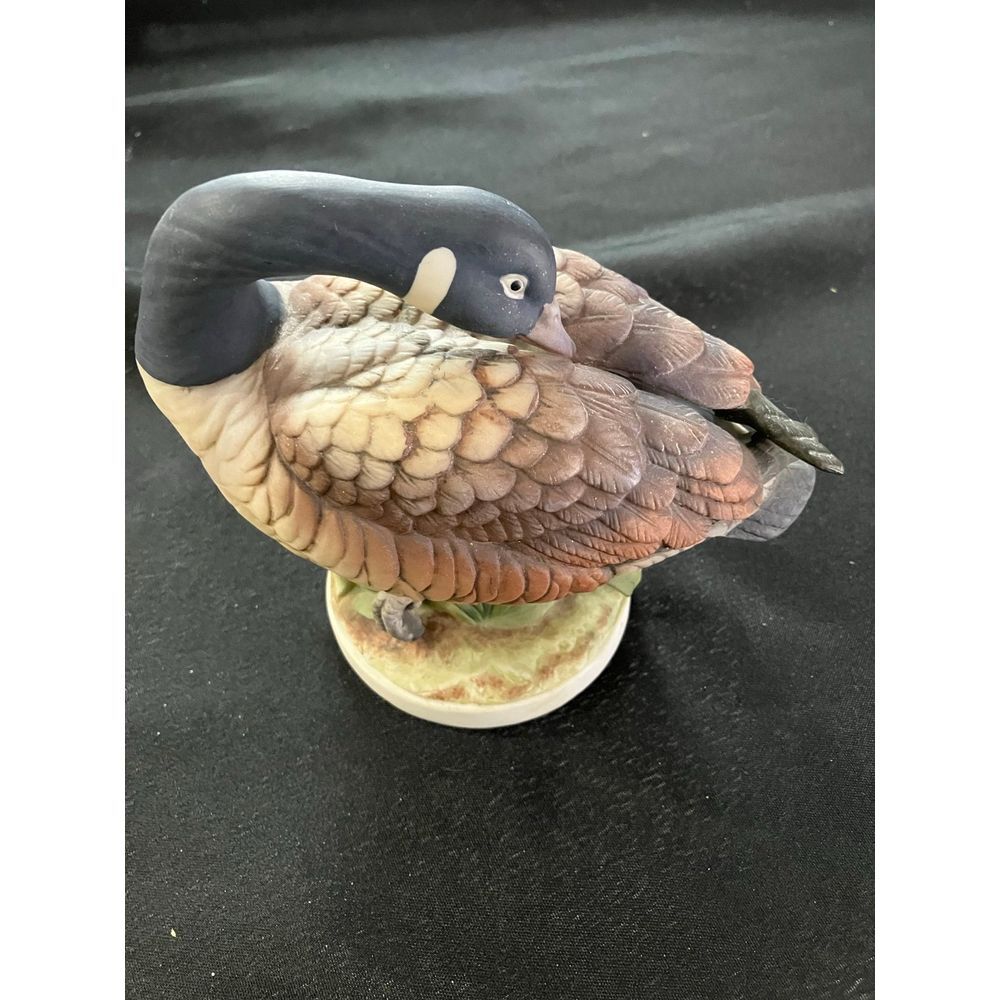 canada goose‎ 6724
